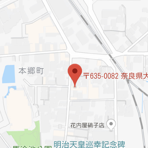 Google MAP