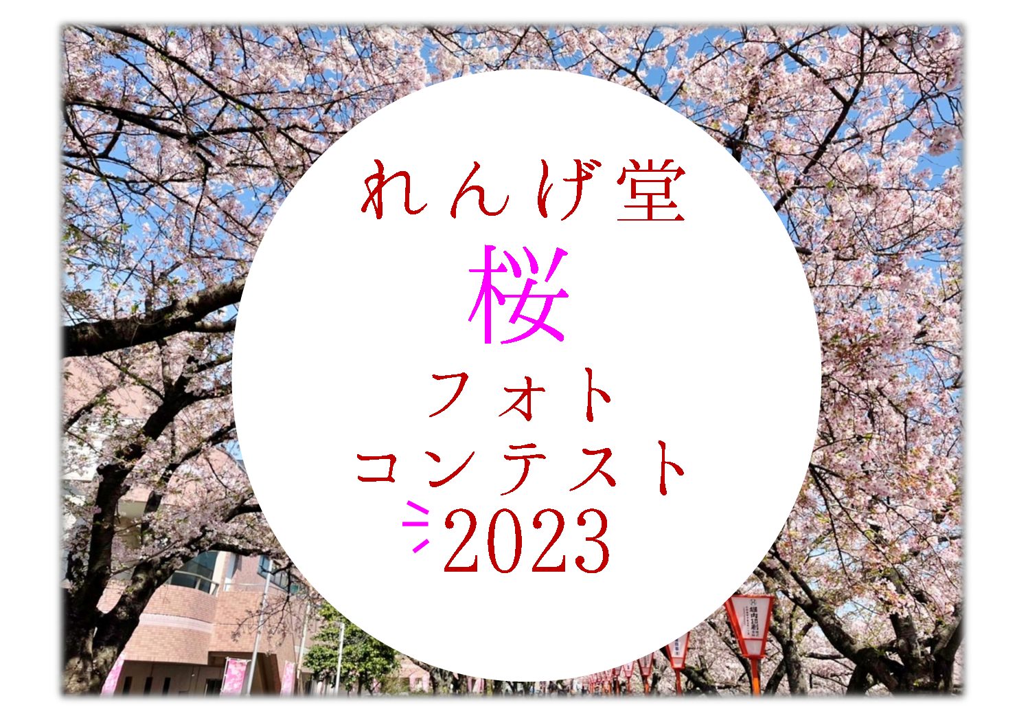 ☆桜フォトコンテスト2023☆入賞作品発表